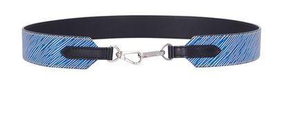 Louis Vuitton Epi Bag Strap, front view